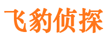 自流井市私家侦探